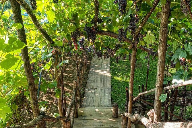 2 Days Tirana, Berat and Castle of Berat Tour - Who will get the most from this tour