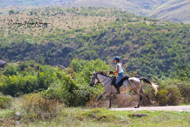2-Hours Guided Drino's Valley Ride - What the Albanian horses mean for your ride