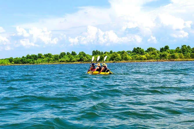 Albania Birdwatching, Kayaking, Bicycle National Park Divjaka Karavasta(ARG) - Key points to know before you book