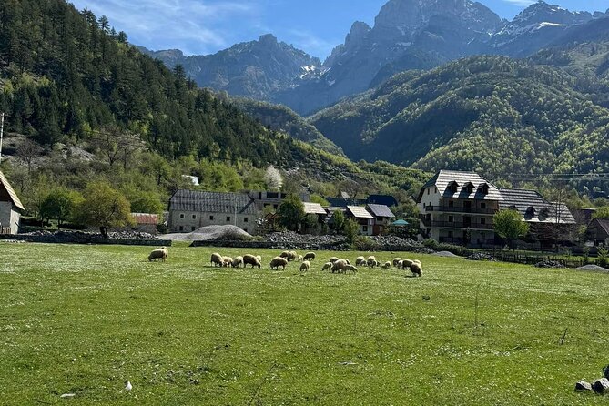 Albanian Alps and Theth Village Day Tour from Tirana - Two hours beside the cold blue pool