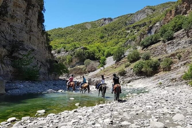 Amazing Horse Riding Experience at Vjosa National Park in Permet - A picnic of fruit, cookies, nuts, and local wine