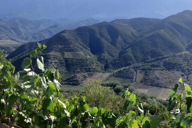 Berat 4x4 Off-Road and Vineyard Wine Tasting - Bilce and the vineyards of Malinat