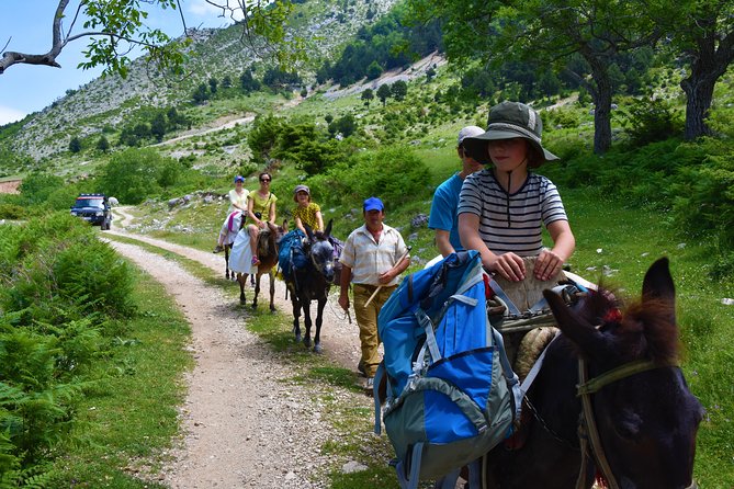 Berat Hiking Off Road picnic lunch in Tomori Holy Mount - Meeting Shepherds and Choosing a Mule