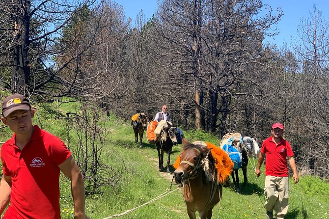 Berat Hiking Off Road picnic lunch in Tomori Holy Mount - The Pine Forest Walk to Tomori’s Ruins
