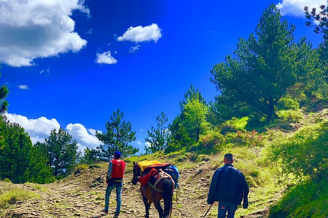 Berat Hiking Off Road picnic lunch in Tomori Holy Mount - Practical Details Before You Book
