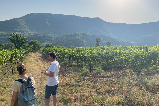 Berat | History & Local Food - Why Berat makes a strong day trip from Tirana