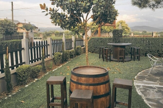 Berat wine Tour Guided Winery Tour with Transfers and Tastings - Final decision: should you book?