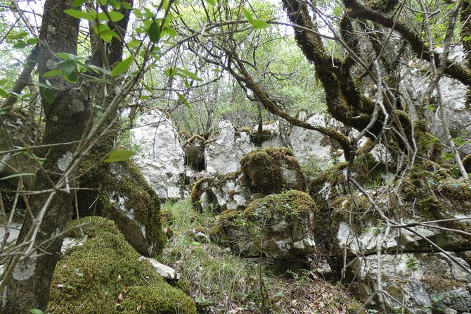 BOGOVA WATERFALL & WINERY TOUR from Berat by 1001 AA - Timing, meeting point, and weather