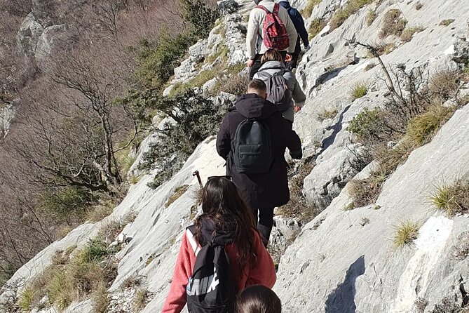 Bovilla lake Hiking Experience - Who will enjoy this outing most