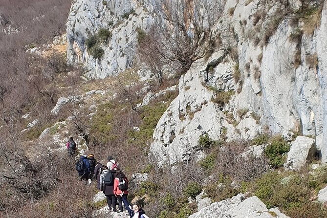 Bovilla lake Hiking Experience - Booking details that matter