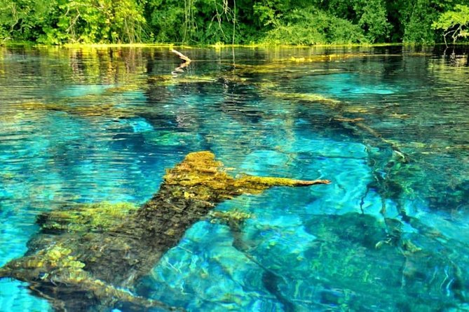 Butrint, Ksamil, Blue Eye, Lekuresi Castle. All-in-one daytrip. - Butrint National Park: the reason to book