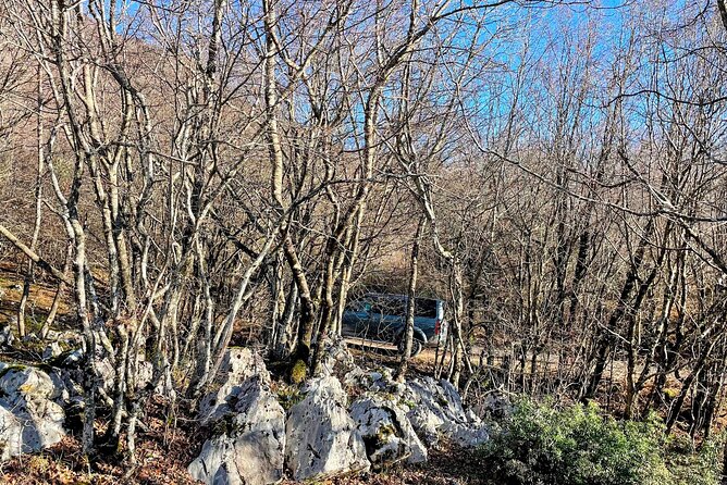 Dajti Mountain & Shengjergj Waterfall Day Trip on Land Rover - Who will enjoy this most