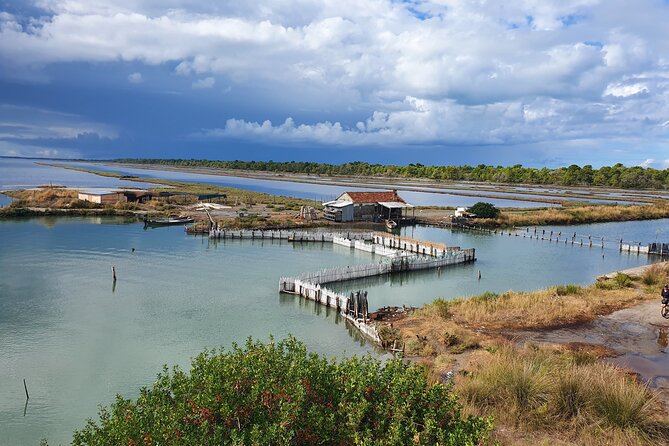Day Tour of Berat and Karavasta Lagoon from Tirana&Durres - Karavasta Lagoon: Albania’s best birdwatching stop
