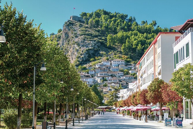 Day tour of Berat UNESCO city , castle and Belshi Lake - Entering Berat Castle, the city’s living old quarter