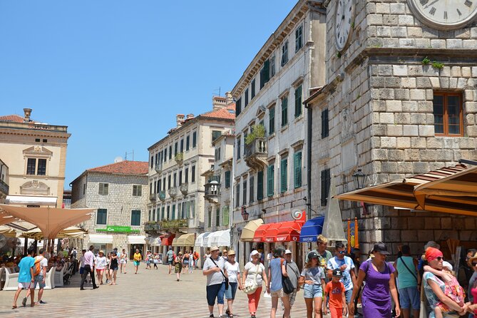 Day Tour of Budva and Kotor Montenegro from From Tirana & Durres - The real shape of this Montenegro day trip
