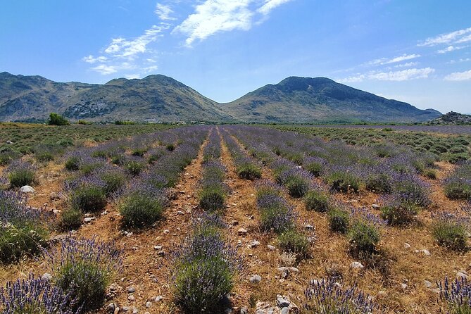Day tour of Theth from Tirana - Is $154.04 good value?
