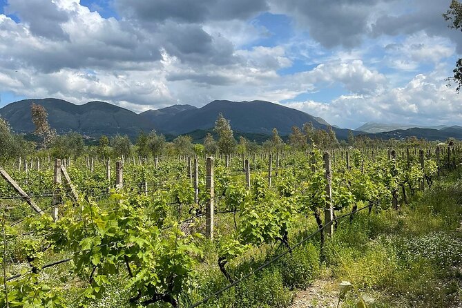 Experience Blue Eye , Lekuresi Castle and Taste Traditional Albanian Wine - Kantina E Veres Isak and the uncertain wine experience