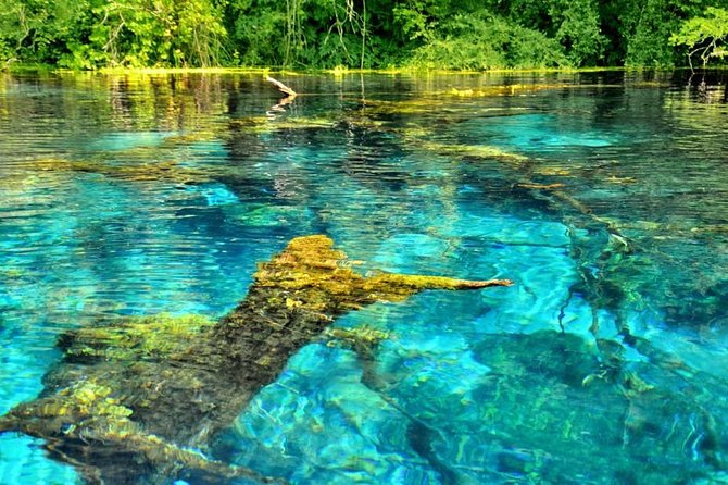 Experience Blue Eye , Lekuresi Castle and Taste Traditional Albanian Wine - Walking to the Blue Eye spring