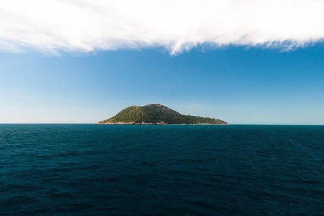 Explore Vlora Bay: Sazani Island &Karaburun peninsula from Tirana - Shën Vasili Bay and the best time for a swim