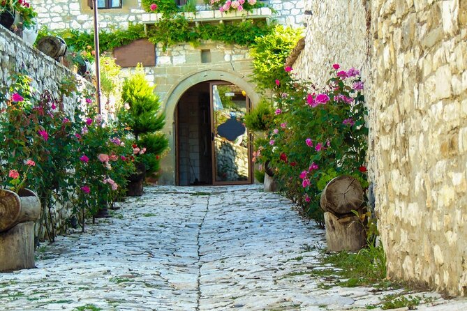 From Tirana: Private Berat Full-Day Trip, Private Guide/Car - How the private car and guide affect the day