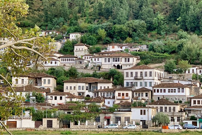 From Tirana; Semi - Private Day Trip to Berat & Belsh Lake - Onufri Museum and Berat’s church art