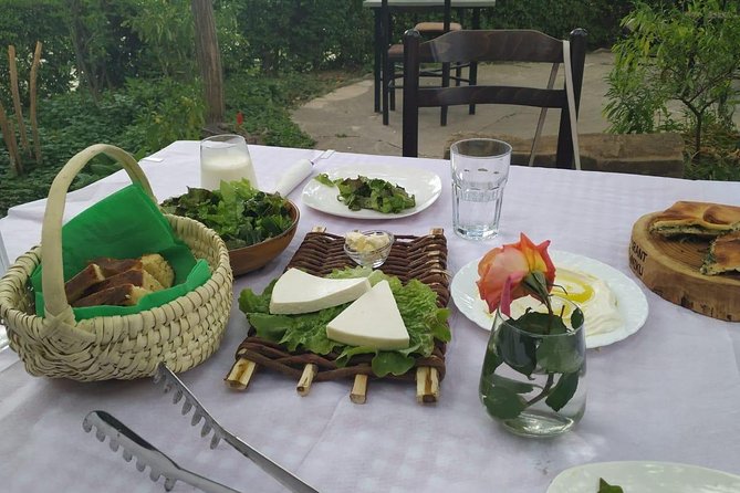 From Tirana Wine Tasting & Food tour in Berat - Who should book this day?