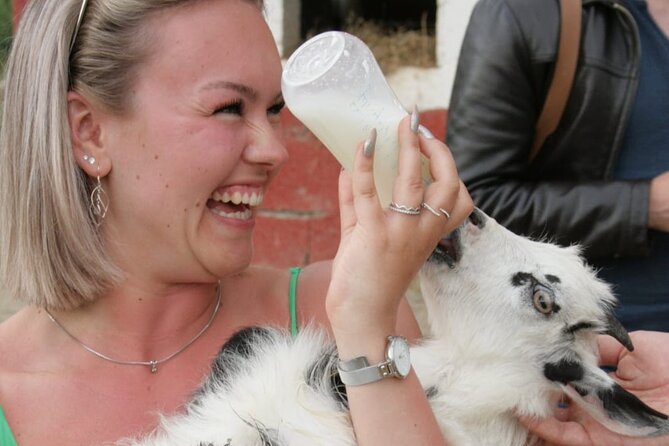 Gourmet Lunch Farm Tour with Cooking Class - Who will enjoy this experience most?