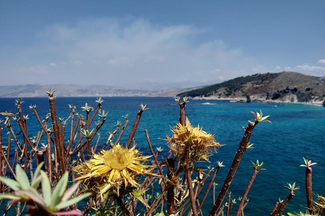 Half-day Tour in South Albania (Blue Eye, Lekursi Castle, Ksamil) - Is $118.88 a fair price?