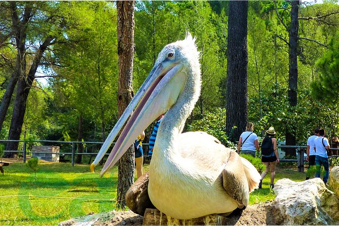 Karavasta Lagoon Adventure: Boat & Wildlife Tour from Durrës - What the visitor center adds