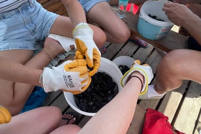 Ksamil: Mussel Sailing Tour with Food and Drink in Albania - How much value do you get for $67.72?