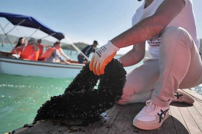 Ksamil: Mussel Sailing Tour with Food and Drink in Albania - Who will enjoy this most?