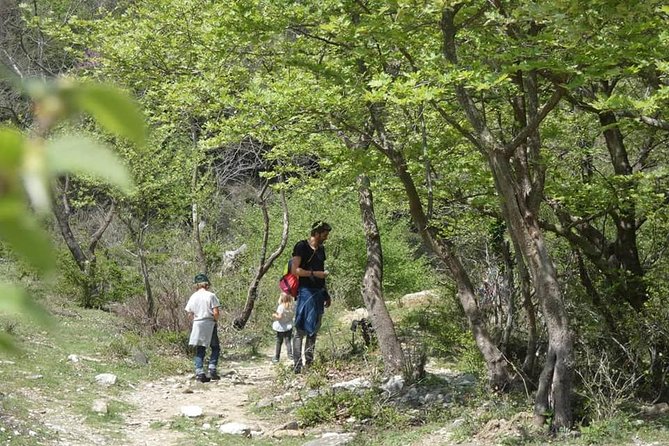 Osumi Canyons and Bogova Waterfall from Berat - Tour by 1001 Albanian Adventures - Lunch, timing, and the real length of the day