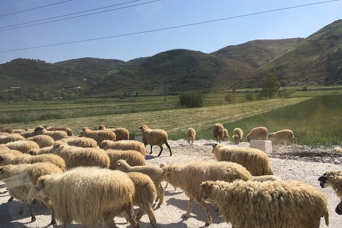 Outdoor Experience in Amantia Archeological Park & Brataj Bidge - A full day’s story in four to six hours