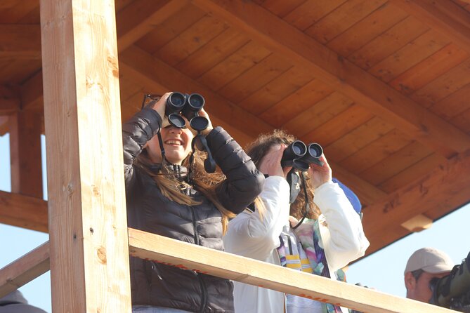 Private Birding Tour in Albania - Why Albania works so well for a private birding trip