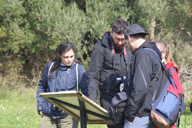 Private Birding Tour in Albania - What five days can look like in the field