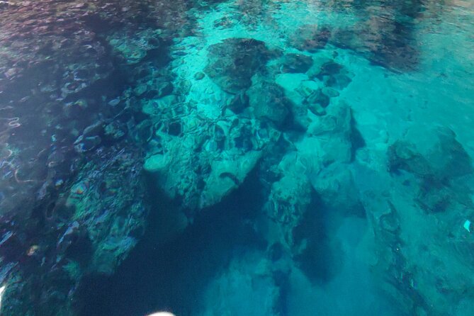 Private Half Day Boat Sazani Island & Haxhi Aliu Cave - What the $481.65 price really buys