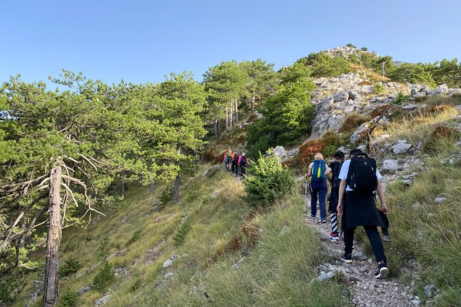 Private Hiking Tour in Çika Mountain - Pine trees, open views, and Çika’s summit