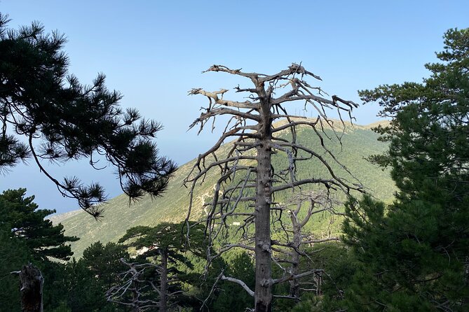 Private Hiking Tour in Çika Mountain - What the private format adds