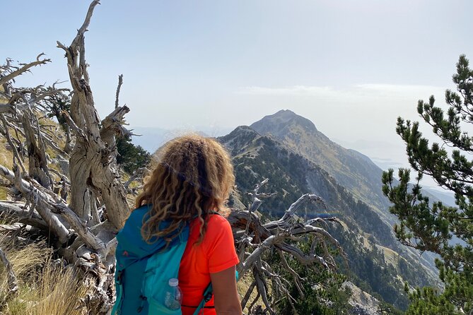 Private Hiking Tour in Çika Mountain - Entering Llogara National Park