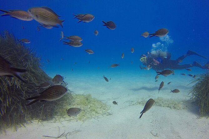 Scuba Diving in MIG-21 wreck - Clear water and underwater photographs
