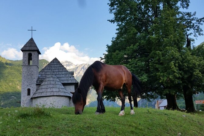 Self-Guided Hiking Tour: Theth, Valbona & Koman Lake in 3 Days - Day three: Komani Lake by boat