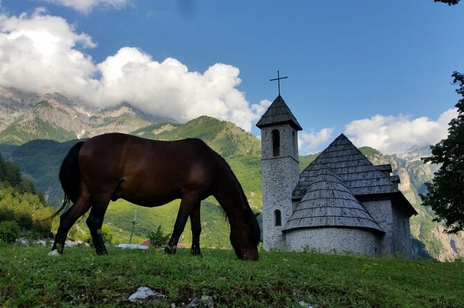 Self - Guided Peaks of the Balkans tour in 7 days - Day 5: pine forests and the rough night at Doberdol
