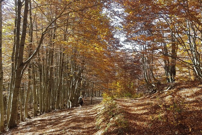 Self-guided: Peaks of the Balkans Tour in 8 days - What this eight-day route is really like