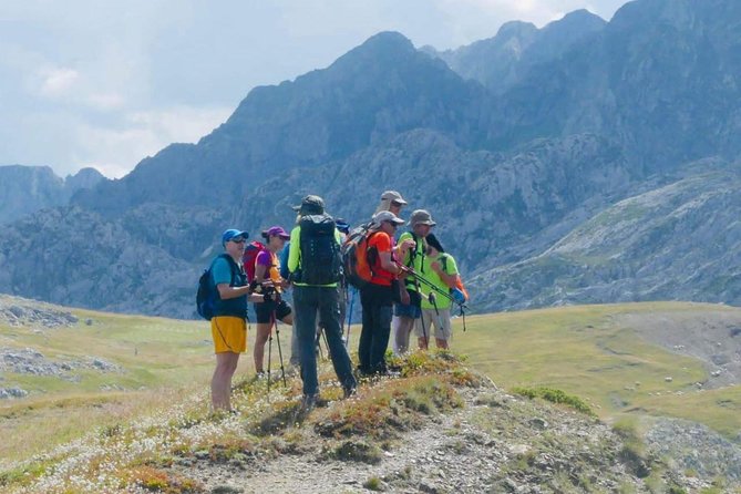Semi-Private Hiking Tour; Peaks of the Balkans in 10 days - Day 7: Cerem, high meadows, and an optional 2,500-meter summit