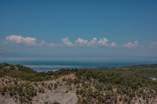 Shkodra from Tirana: Day Tour of castle, city & Skadar Lake - Who Should Book This Shkodër Tour?