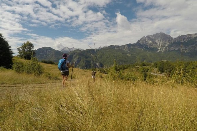 Small Group Hiking Tour; Peaks of the Balkans Trail in 7 Days - Day 5: Mule tracks, berry country, and Doberdol