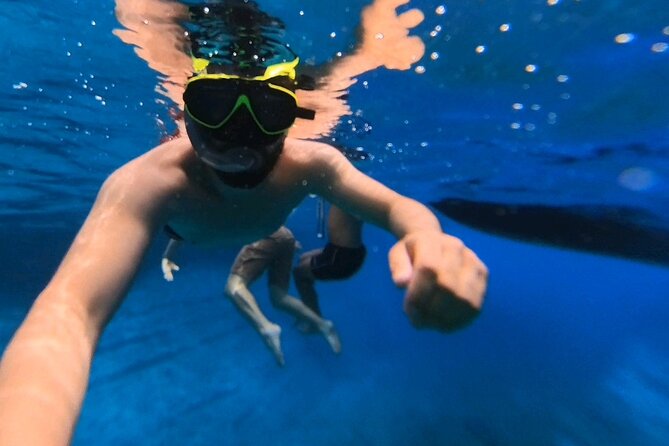 Snorkeling 360 Experience in Sazan Island & Karaburun - Guide commentary and the small details that matter