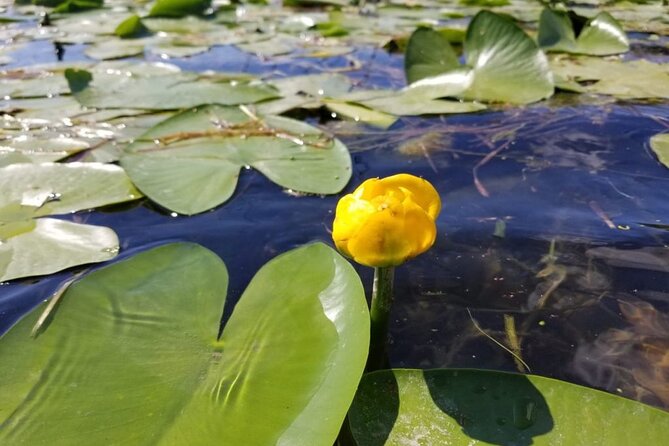 Stand Up Paddle at Skadar lake and Hiking from Valbona to Theth in 4 Days - Shkoder brings a city break after the mountains