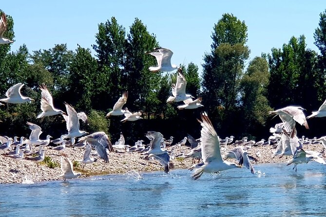 Stand Up Paddle at Skadar lake and Hiking from Valbona to Theth in 4 Days - The Valbona to Theth crossing