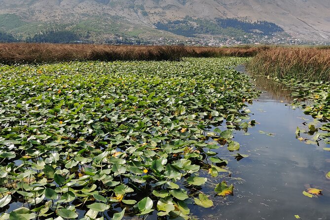 Stand Up Paddle Board or Kayak Rental in Shkodër - Waterproof storage and small practical touches